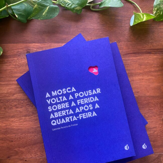 A mosca volta a pousar sobre a ferida aberta após a quarta-feira